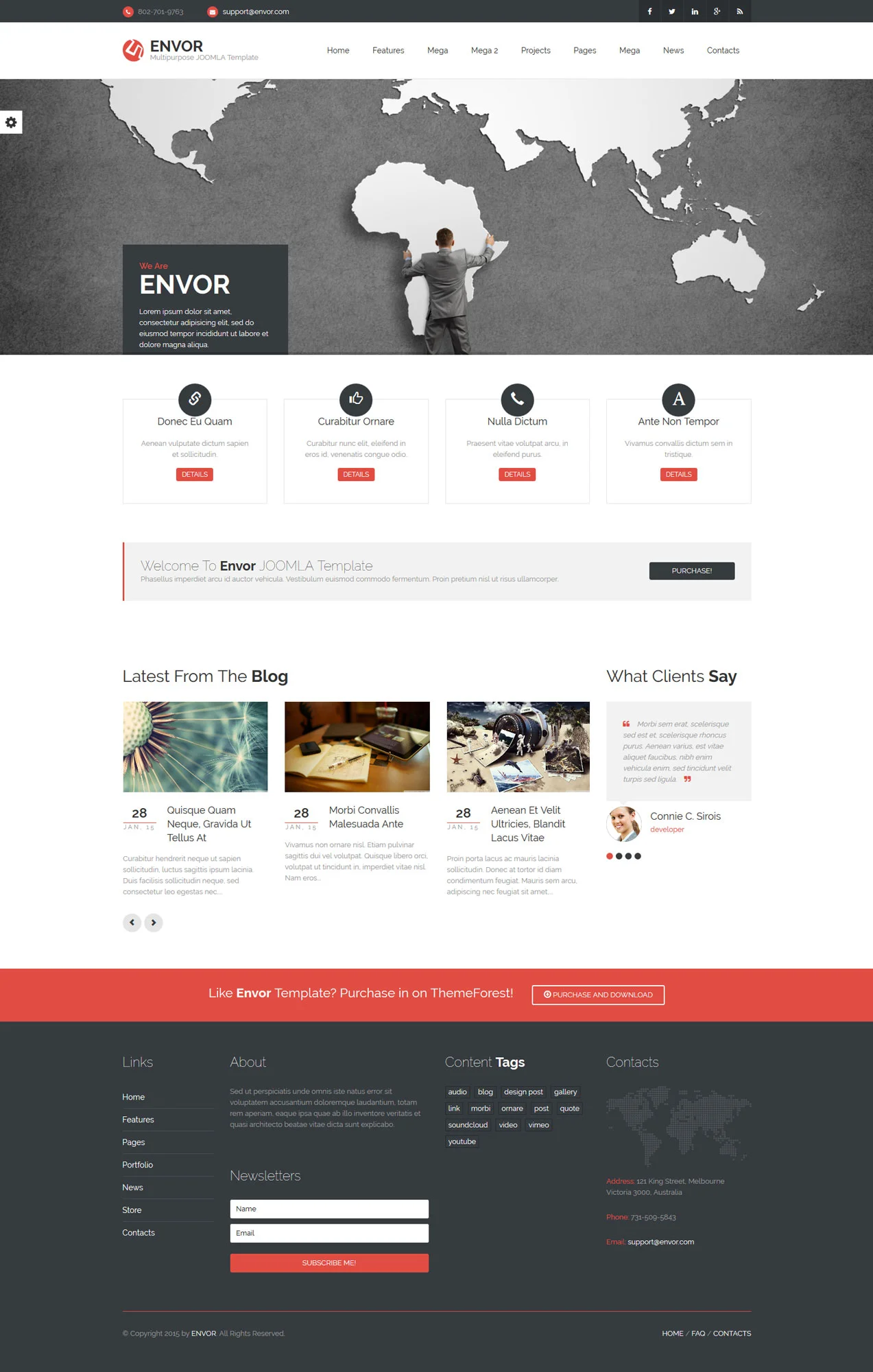 پیش نمایش قالب چندمنظوره TF Envor